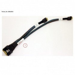 38064824 - DATA COUGAR6...