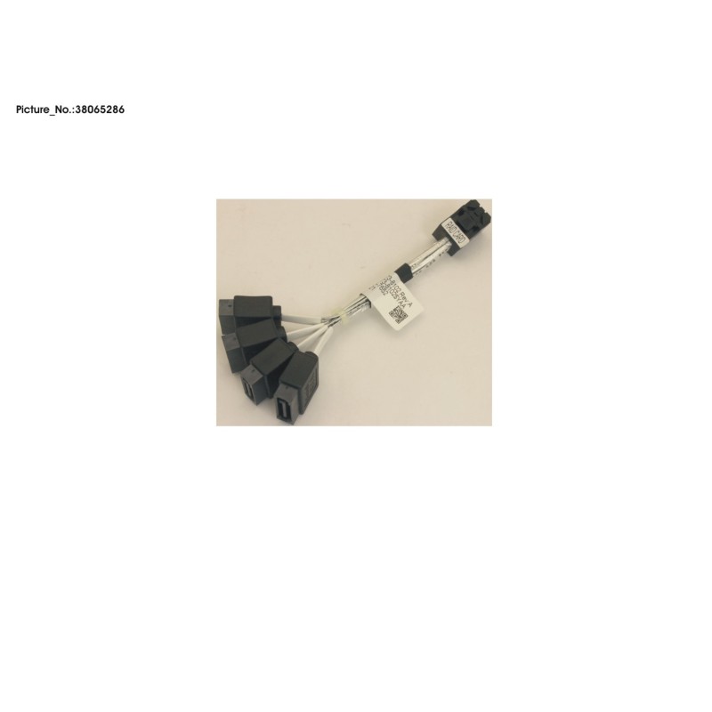 38065286 - TX1310 RAID ADAPTOR CABLE