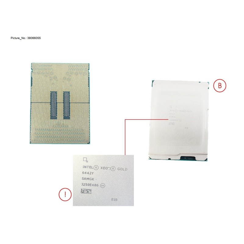38066055 - CPU XEON GOLD 6442Y