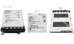 38066718 - HD SED SAS 12G 14TB 7K2 512E HOT PL LFF