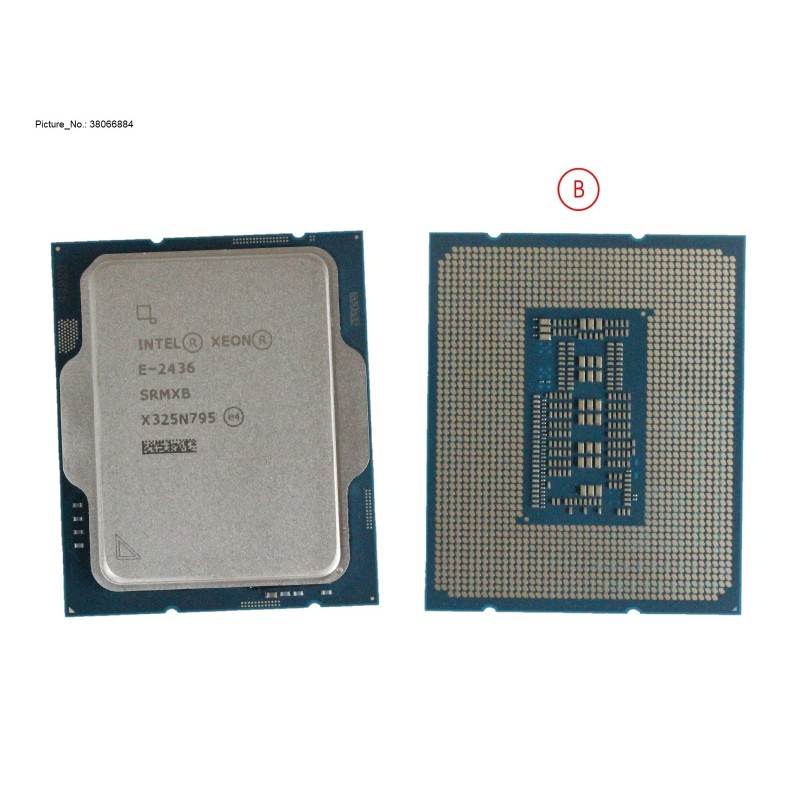 38066884 - XEON E-2436